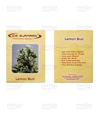 Lemon Bud