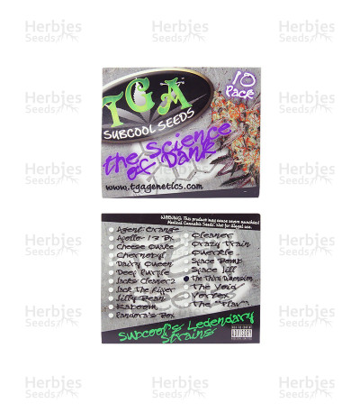The Third Dimension — TGA Subcool Seeds (SubCool’s The Dank)