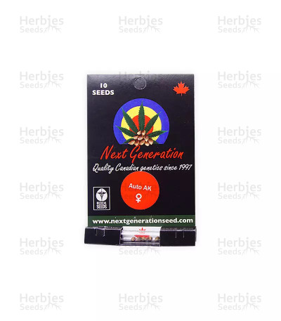 AK Auto