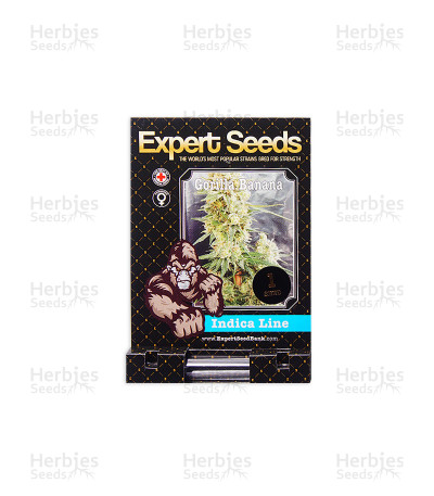 Gorilla Banana — Expert Seeds