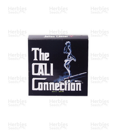 Julius Caesar — Cali Connection Seeds