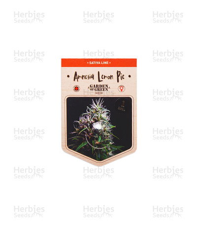 Amnesia Lemon Pie — Garden Of Green