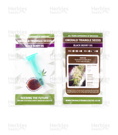 Black Berry OG — Emerald Triangle Seeds