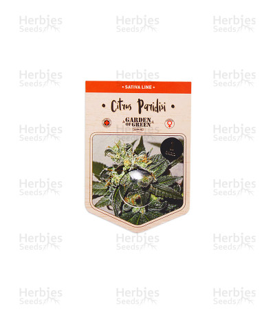 Citrus Paradisi — Garden Of Green