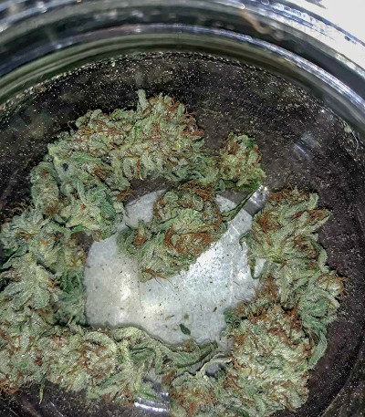 Boy Scout Cookies — Kalashnikov Seeds
