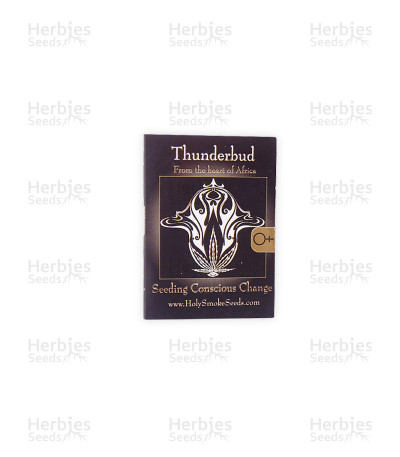 Thunderbud