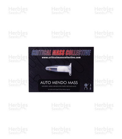 Mendo Mass Auto
