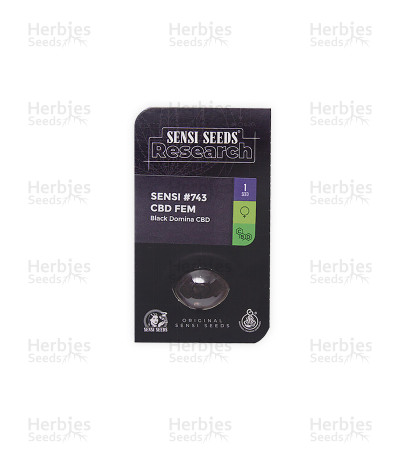 Sensi #743 CBD