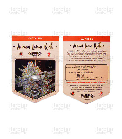 Amnesia Lemon Kush