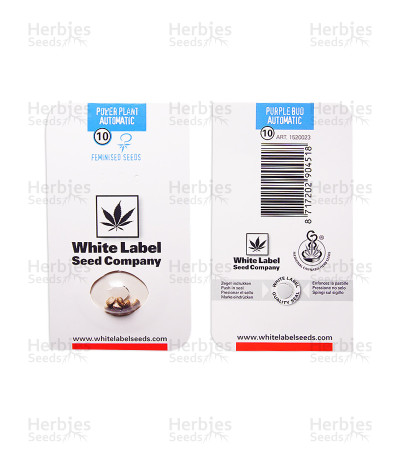 Power Plant Auto — White Label Seed Company