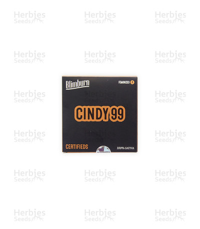 Cindy 99