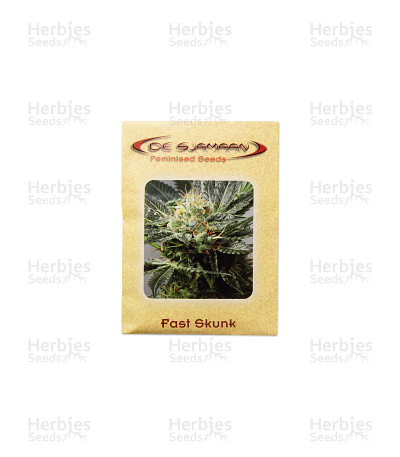 Fast Skunk — De Sjamaan Seeds