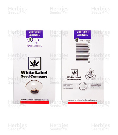 White Skunk auto feminized seeds` — White Label Seed Company