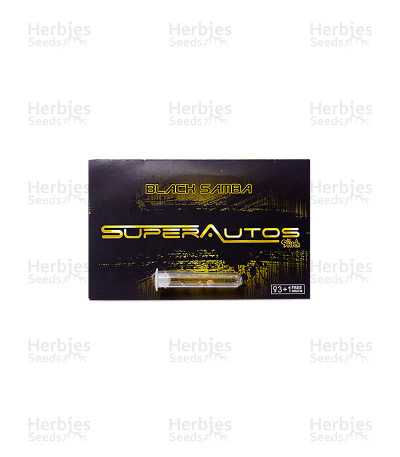 Black Samba Auto