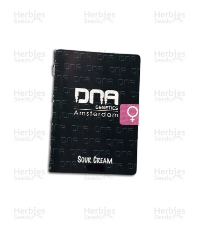 Sour Cream — DNA Genetics