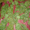 Blue Cheese Auto weed strain