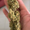 Bruce Banner Seeds (Fast Buds) - Cannabis Strain Seeds for Sale