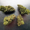 Blue Cheese Seeds (Big Buddha Seeds)