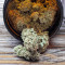 Gorilla SFV OG (Expert Seeds) feminized seeds