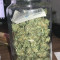 + Speed Auto feminized seeds for sale