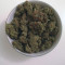 Buy Cookies Kush feminized seeds by Barney's Farm