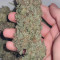 Venta de Sweet ZZ (Sweet Z) (RQS) | Semillas de marihuana feminizadas