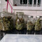 Venta online de Gorilla Z Auto de Fast Buds