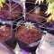 Vente de graines de cannabis Purple Lemonade Auto (Fast Buds)