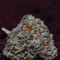 Fire OG Kush (Big Head Seeds)