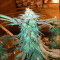 Graines de cannabis LA Confidential (DNA Genetics)