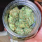 Auto Purple (Original Sensible Seeds)
