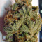 Strawberry Cough (Dutch Passion)