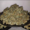 Blue Dream’matic Seeds - Cannabis Strain Seeds for Sale
