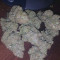 Compre sementes feminizadas Z Auto da Fast Buds