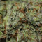 Chronic Thunder Seeds - Cannabis Strain Seeds for Sale