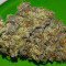 Vente de graines de cannabis Special Kush #1 (RQS)