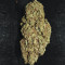 Original Auto AK Seeds