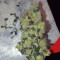 Wedding Cake Auto Feminized Seeds
