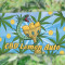 CBD Lemon Seeds from Herbies Seeds