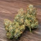 Cherry Pie Auto Feminized Seeds (Royal Queen Seeds)