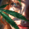 Hindu Kush Autoflower (Herbies Seeds)