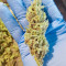 Graines féminisées de Gorilla Cookies (Big Head Seeds)