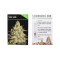 Silver Jack feminized seeds