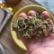 Buy Wedding Cake Auto feminized seeds by Barney's Farm