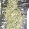 Shogun feminized seeds for sale: information and reviews