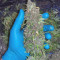 Original Auto OG Kush Seeds - Cannabis Strain Seeds for Sale