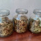 Fast Bud Seeds - Cannabis Strain Seeds for Sale