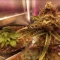 Gorilla Cookies Seeds