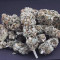 Wedding Cake feminized seeds for sale