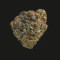 Graines de cannabis Girl Scout Cookies (Blackskull Seeds)